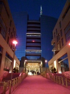 Nadia Mikushova. A night view to the Milan Porta Nuova business centre.