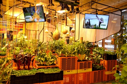 Nadia Mikushova.Mobile Gardening in the city presented at the Germany EXPO Milano 2015 pavilion.1.a