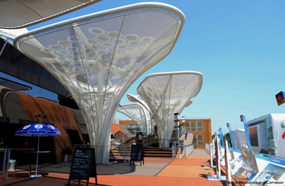 Nadia Mikushova.Solar trees of the Germany EXPO Milano 2015 pavilion.1.a